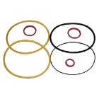 Seal Ring Kit - Sierra (S18-2793)